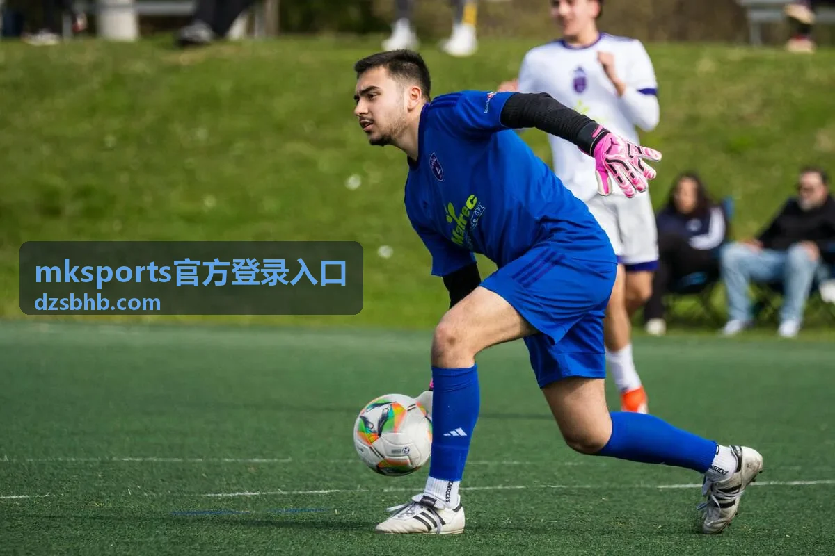mksports官方登录入口的登录流程说明配图