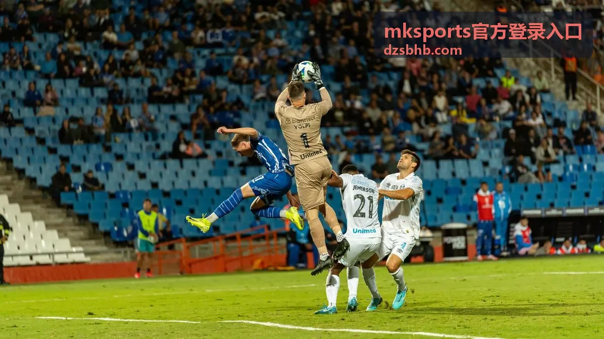 mksports官方登录入口用户反馈头像